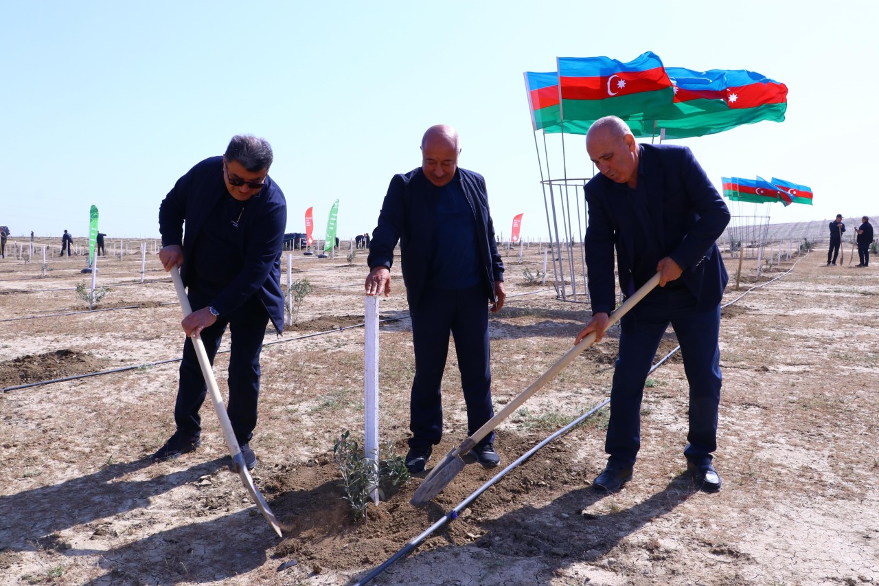 Prokurorluq əməkdaşları növbəti ağacəkmə kampaniyası keçirib - FOTOLAR