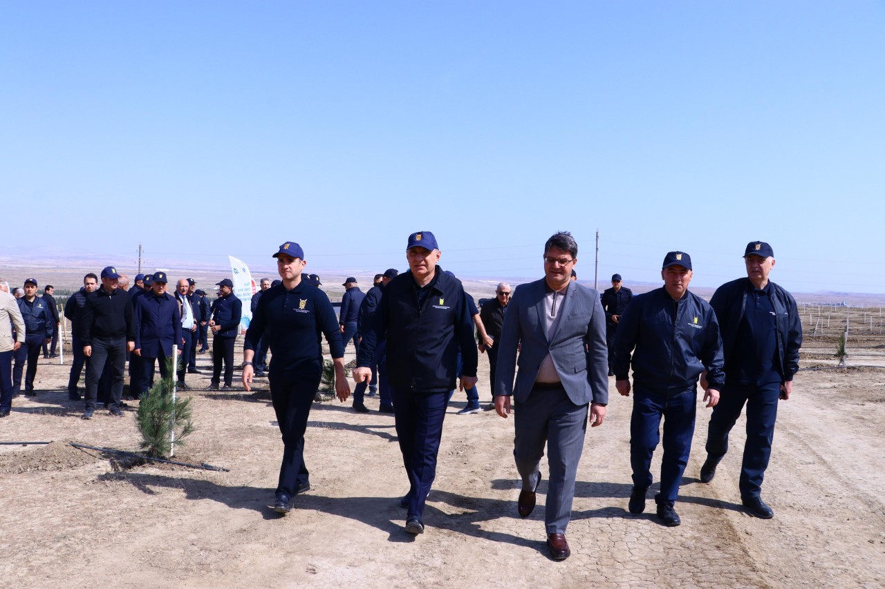 Prokurorluq əməkdaşları növbəti ağacəkmə kampaniyası keçirib - FOTOLAR