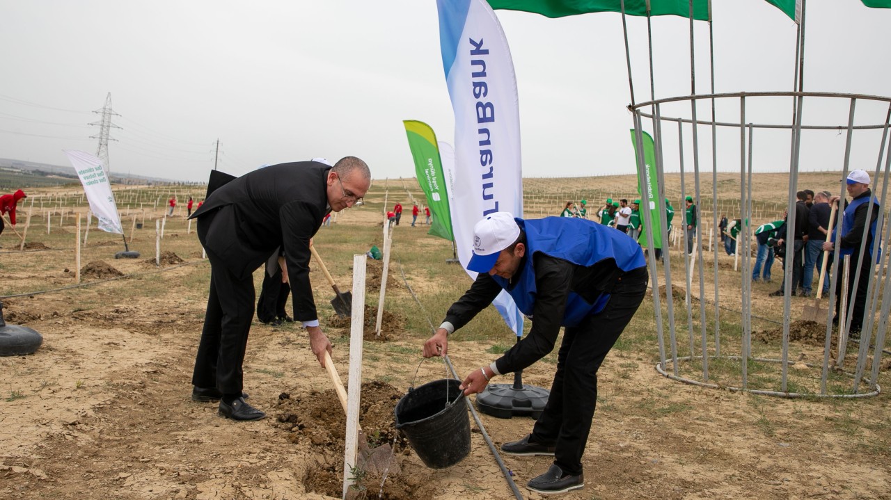 "TuranBank" ağacəkmə aksiyasında iştirak edib - FOTOLAR