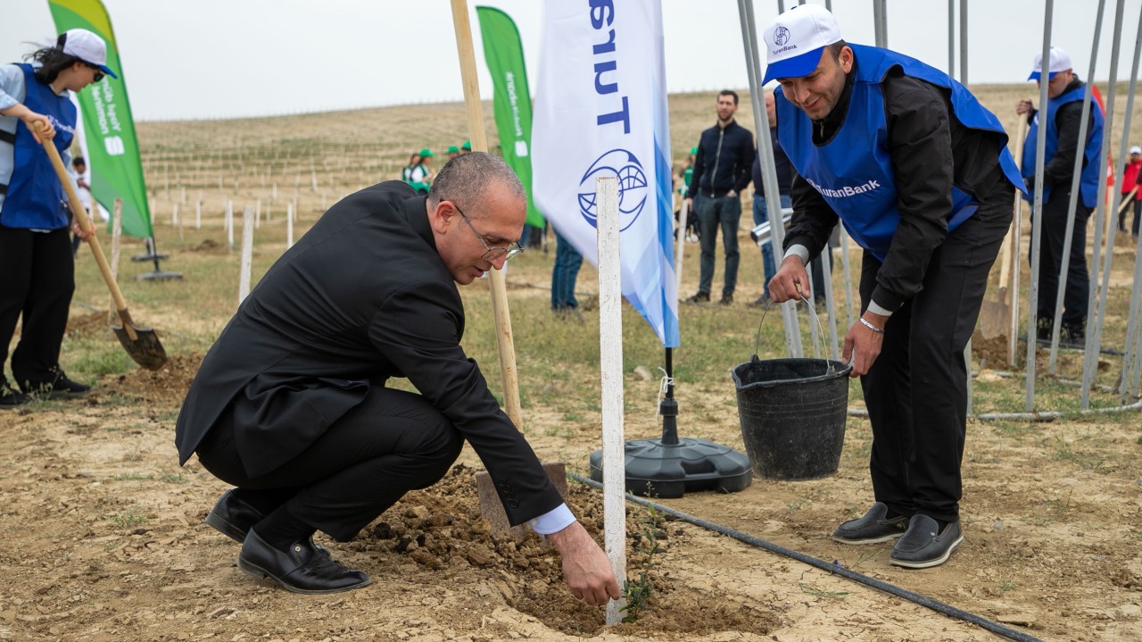 "TuranBank" ağacəkmə aksiyasında iştirak edib - FOTOLAR