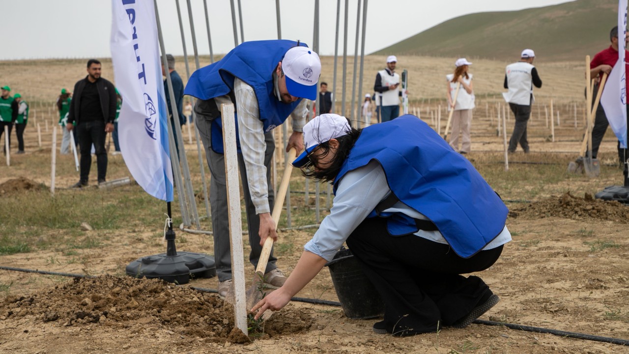 "TuranBank" ağacəkmə aksiyasında iştirak edib - FOTOLAR