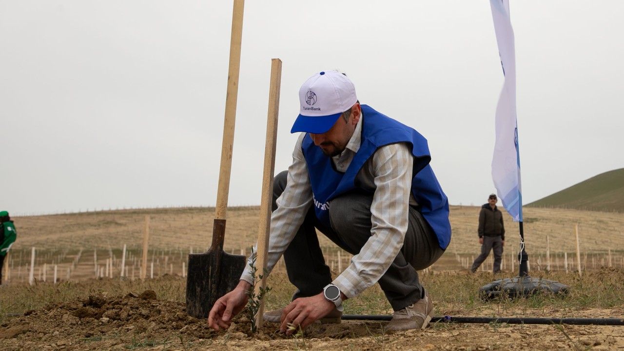 "TuranBank" ağacəkmə aksiyasında iştirak edib - FOTOLAR