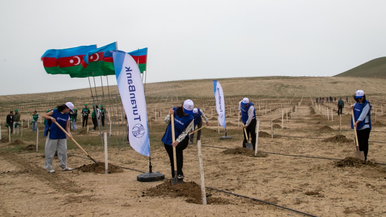 "TuranBank" ağacəkmə aksiyasında iştirak edib - FOTOLAR