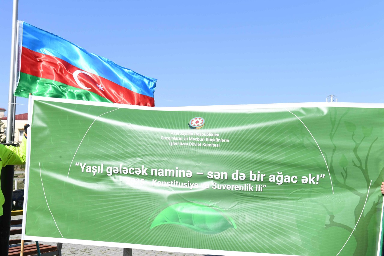 Dövlət Komitəsi ağacəkmə aksiyası təşkil edib - FOTOLAR