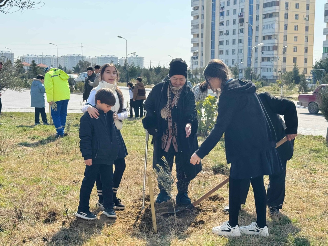 Dövlət Komitəsi ağacəkmə aksiyası təşkil edib - FOTOLAR