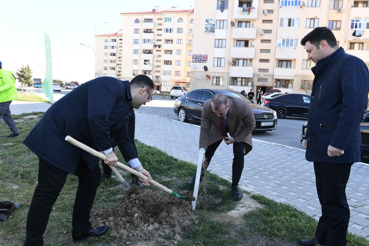 Dövlət Komitəsi ağacəkmə aksiyası təşkil edib - FOTOLAR