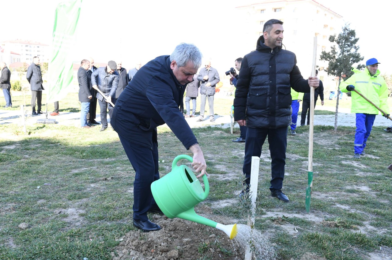 Dövlət Komitəsi ağacəkmə aksiyası təşkil edib - FOTOLAR
