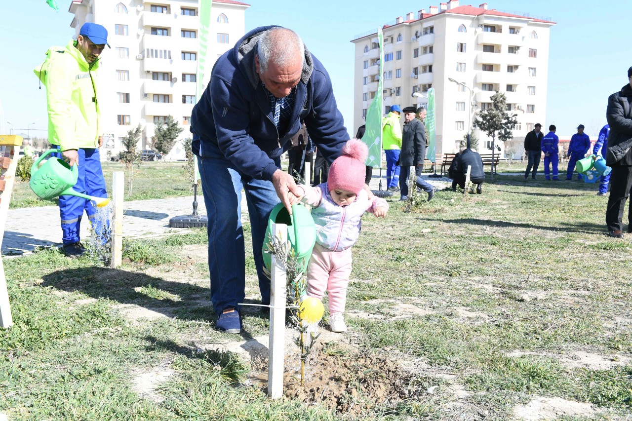 Dövlət Komitəsi ağacəkmə aksiyası təşkil edib - FOTOLAR