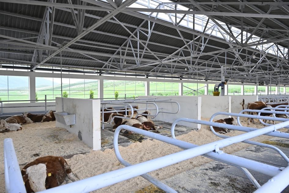 Prezident Xocalıda daha bir kompleksin açılışını etdi - YENİLƏNİB