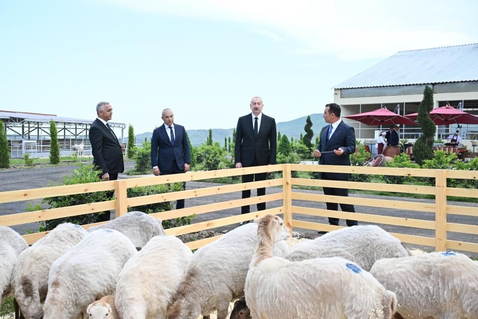 Prezident Xocalıda daha bir kompleksin açılışını etdi - YENİLƏNİB