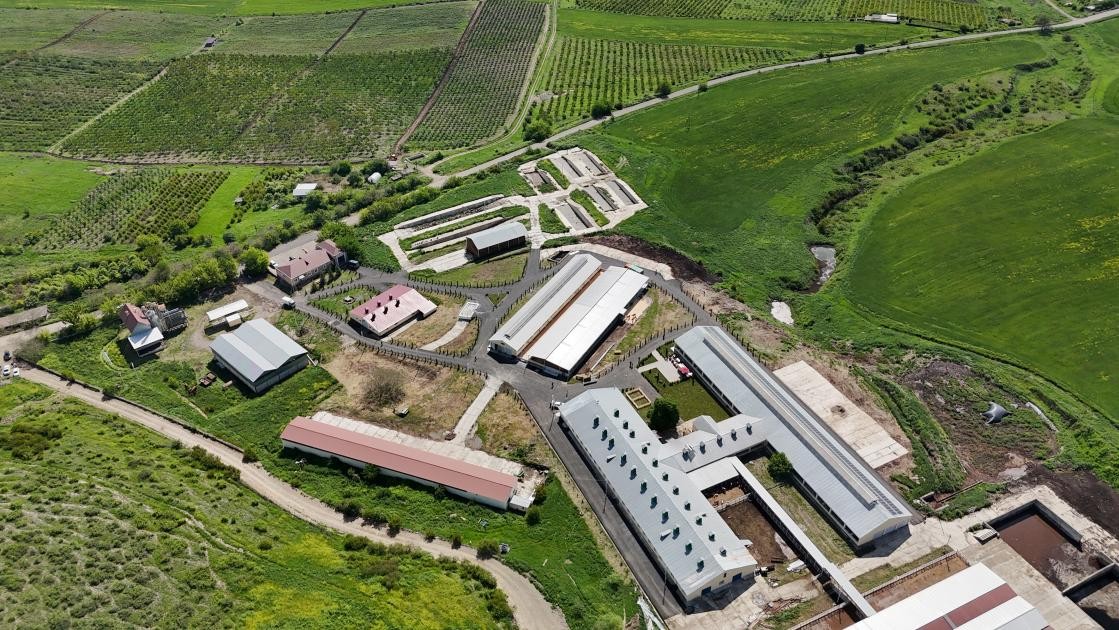 Prezident Xocalıda daha bir kompleksin açılışını etdi - YENİLƏNİB