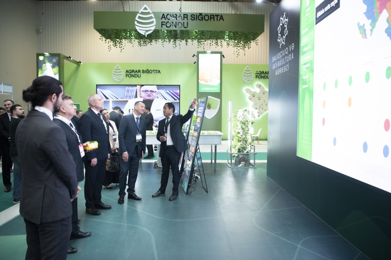 Bakıda Beynəlxalq Kənd Təsərrüfatı Sərgisi keçirilir - FOTOLAR