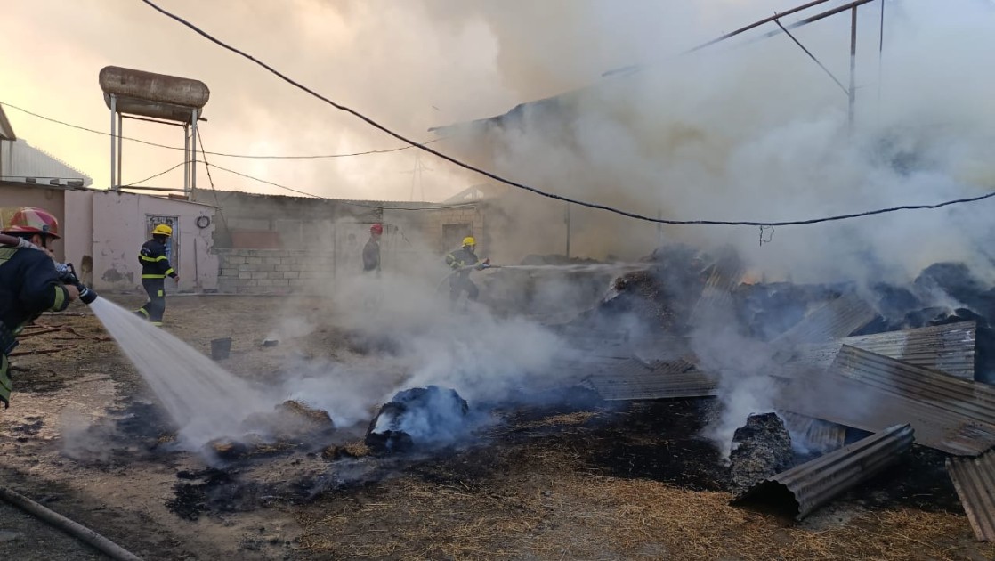 Salyanda yanğın - FOTOLAR