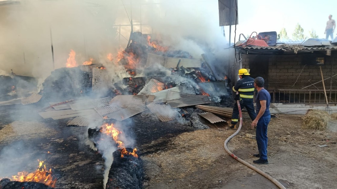 Salyanda yanğın - FOTOLAR