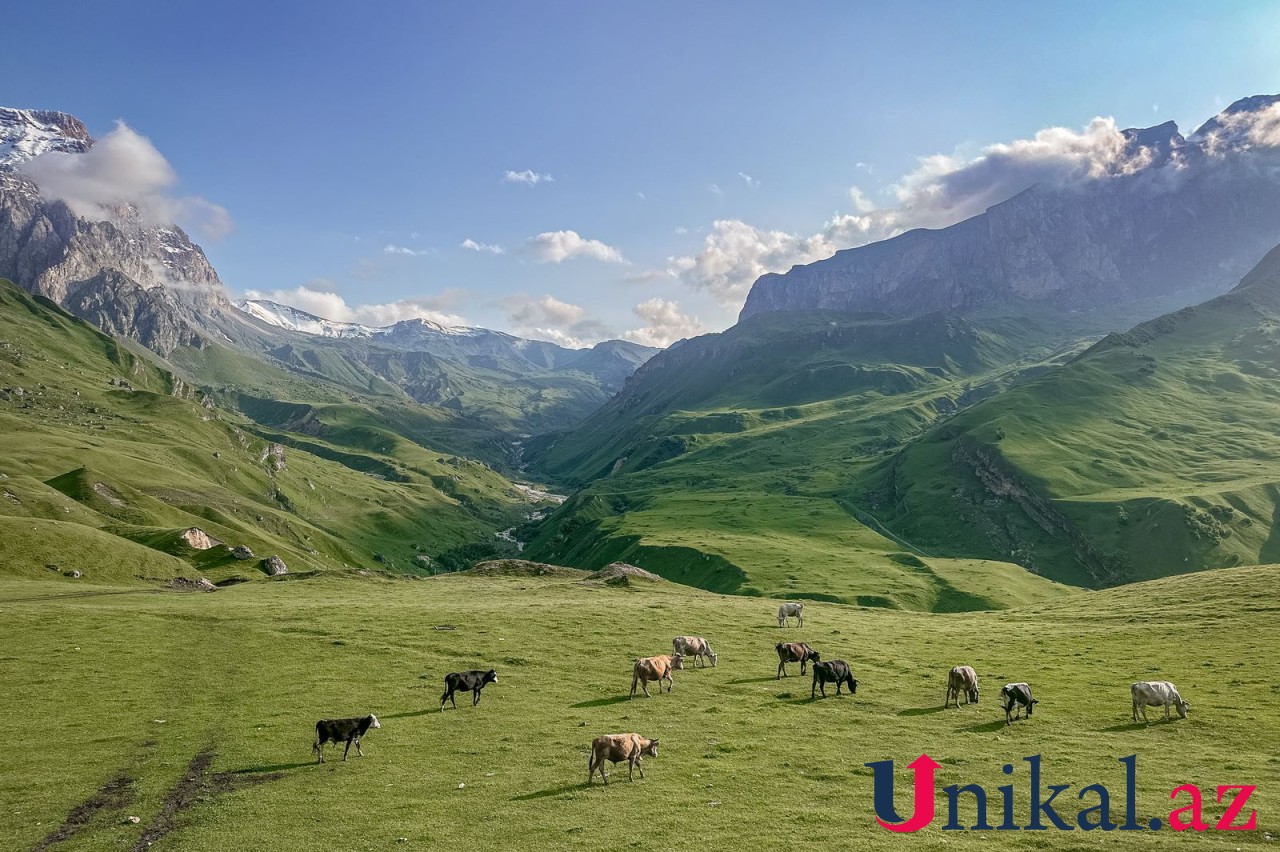 1300 metr yüksəklikdə yerləşən kənd - Lazadan FOTOLAR