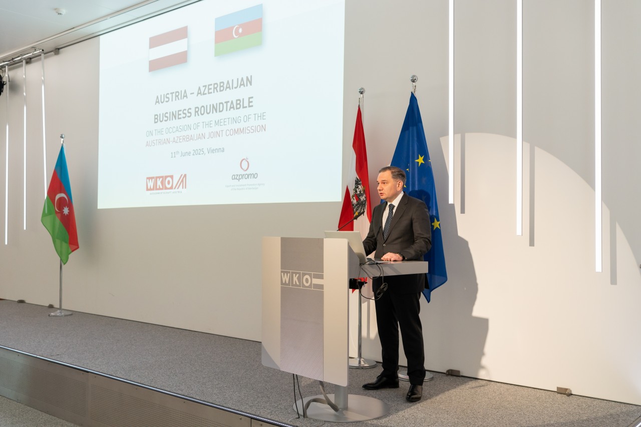 Azərbaycan nümayəndələri Vyanada tədbirdə iştirak ediblər - FOTOLAR