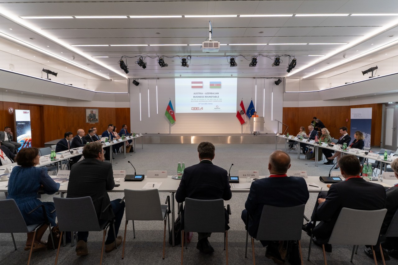 Azərbaycan nümayəndələri Vyanada tədbirdə iştirak ediblər - FOTOLAR