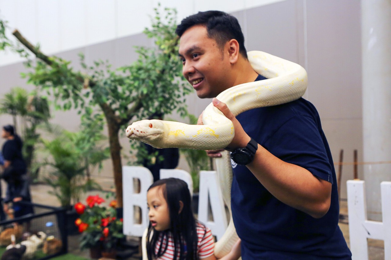 Sədəf kimi ağ heyvanlar... - FOTOLAR