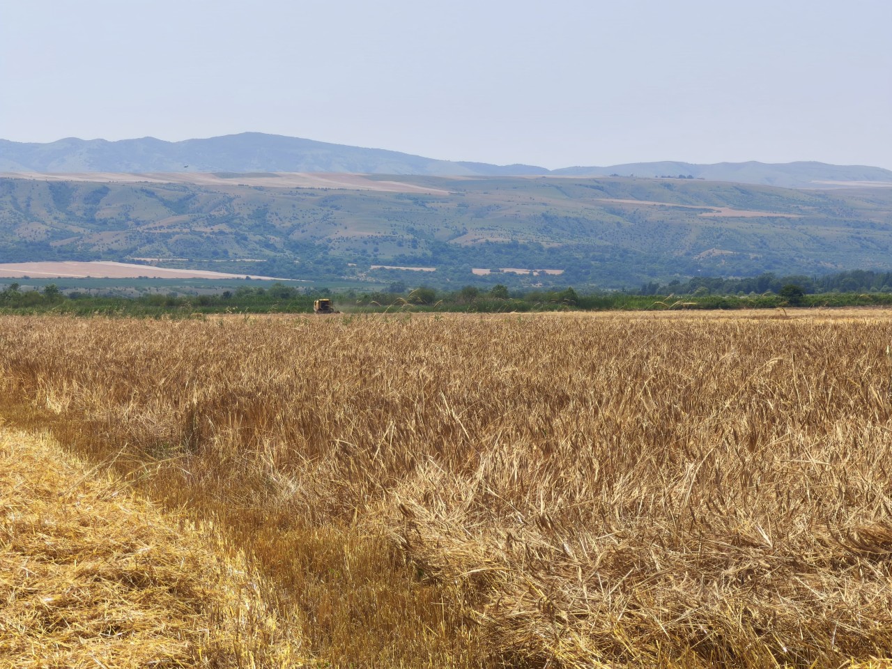 Şəkidə regional müşavirə keçirilib - FOTOLAR