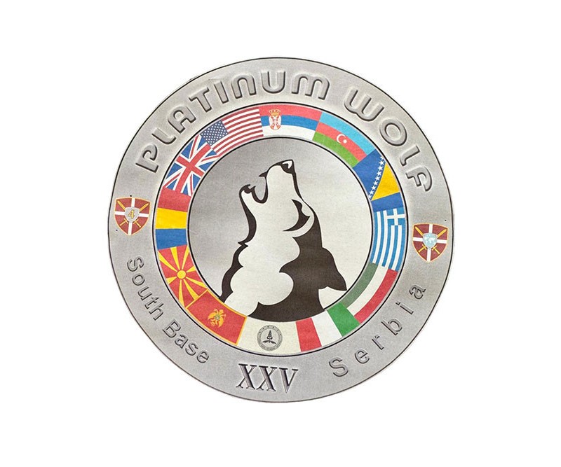 Azərbaycan hərbçiləri Serbiyada beynəlxalq təlimdə - FOTOLAR