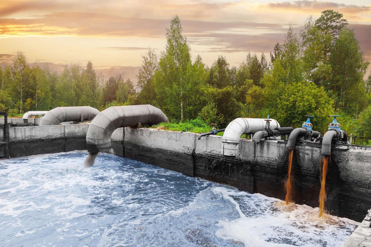 “Azərsun Holdinq” ətraf mühitin qorunması istiqamətində layihələr həyata keçirəcək - FOTOLAR