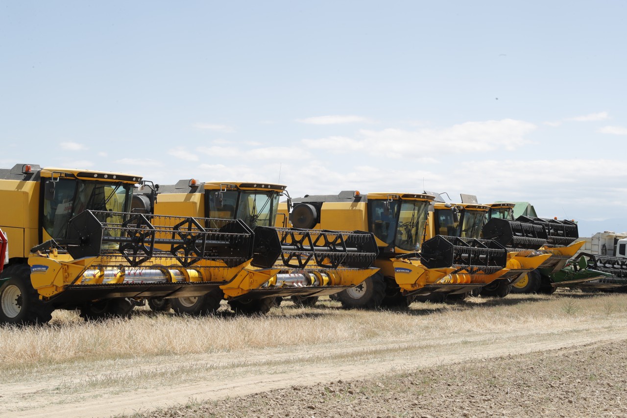 Taxıl zəmilərindən 900 min tondan artıq məhsul yığılıb - FOTOLAR