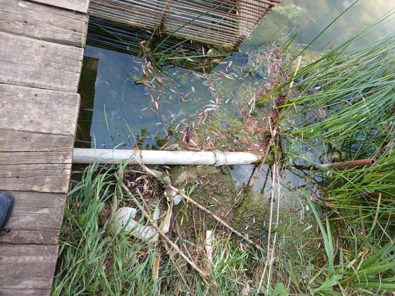 Tullantıların axıdılmasına görə 2 nəfər cərimələndi - FOTOLAR