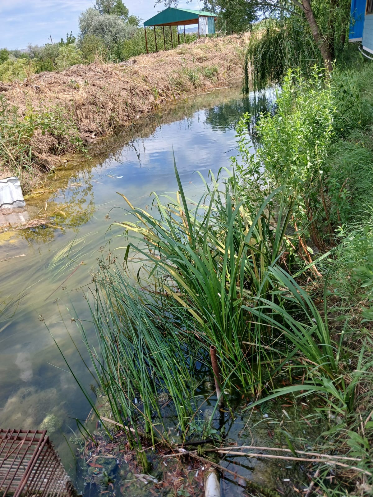 Tullantıların axıdılmasına görə 2 nəfər cərimələndi - FOTOLAR