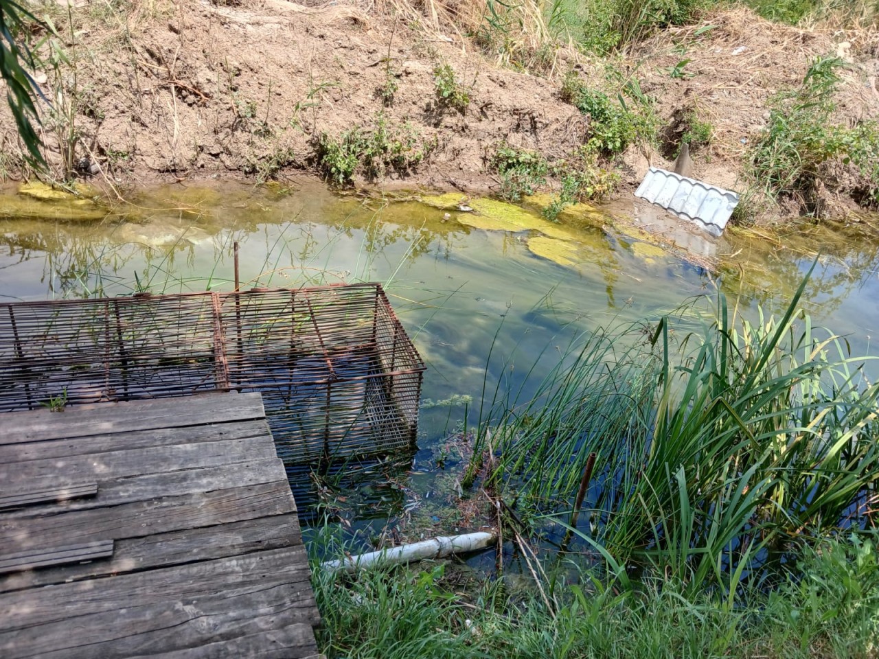 Tullantıların axıdılmasına görə 2 nəfər cərimələndi - FOTOLAR