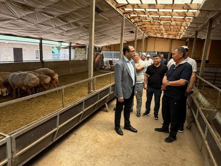 Nazir Qırğız Respublikasının heyvandarlıq təsərrüfatları ilə tanış olub - FOTOLAR