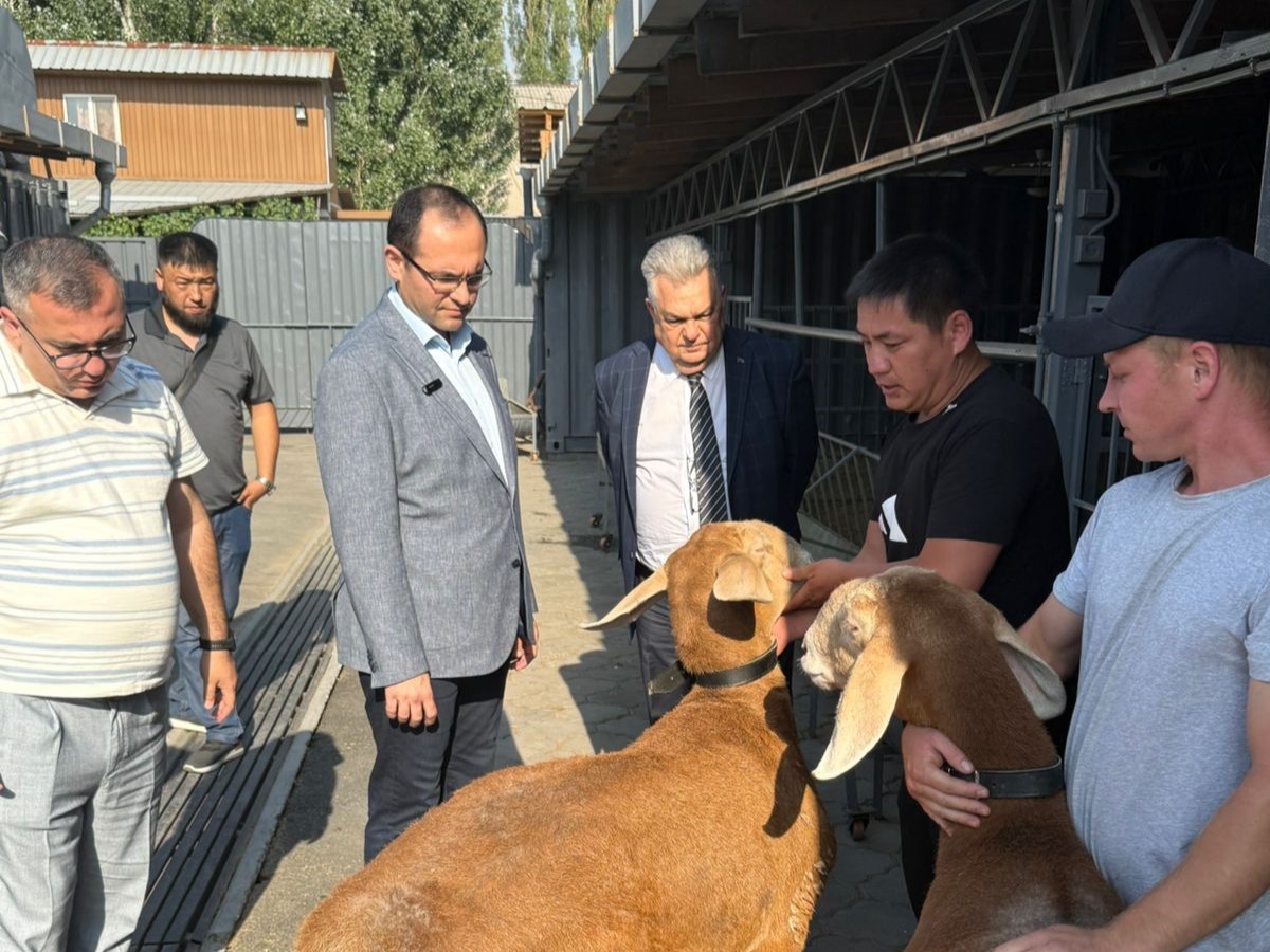 Nazir Qırğız Respublikasının heyvandarlıq təsərrüfatları ilə tanış olub - FOTOLAR