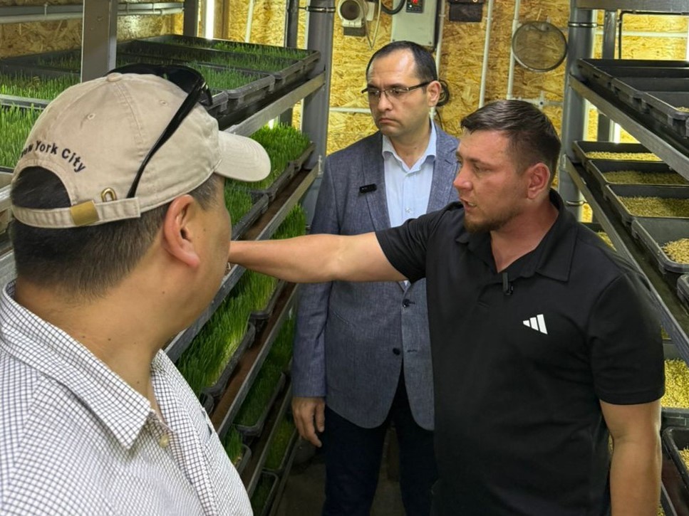 Nazir Qırğız Respublikasının heyvandarlıq təsərrüfatları ilə tanış olub - FOTOLAR