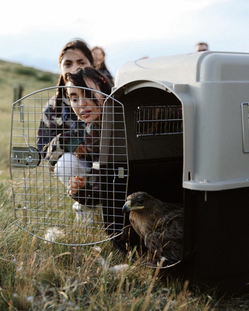 Leyla Əliyeva və Arzu Əliyeva Altıağac Milli Parkında - FOTOLAR