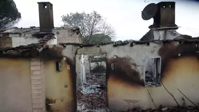 Türkiyə meşə yanğınları ilə mübarizə aparır - FOTOLAR