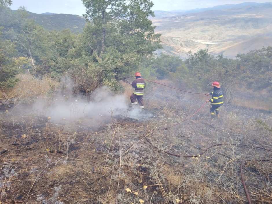 Şabranda dağlıq-meşəlik ərazidəki yanğın söndürüldü - FOTO (YENİLƏNİB)