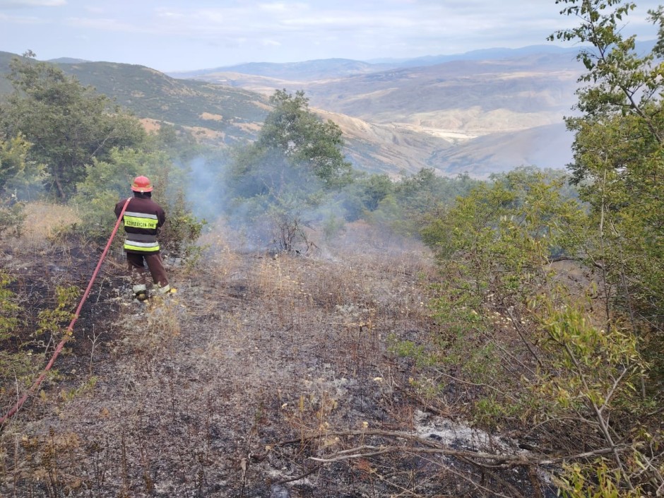 Şabranda dağlıq-meşəlik ərazidəki yanğın söndürüldü - FOTO (YENİLƏNİB)