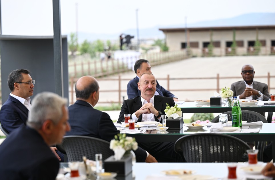 Liderlər Qarabağ atlarının Zəfər şousunu izlədilər - VİDEO (FOTOLAR)