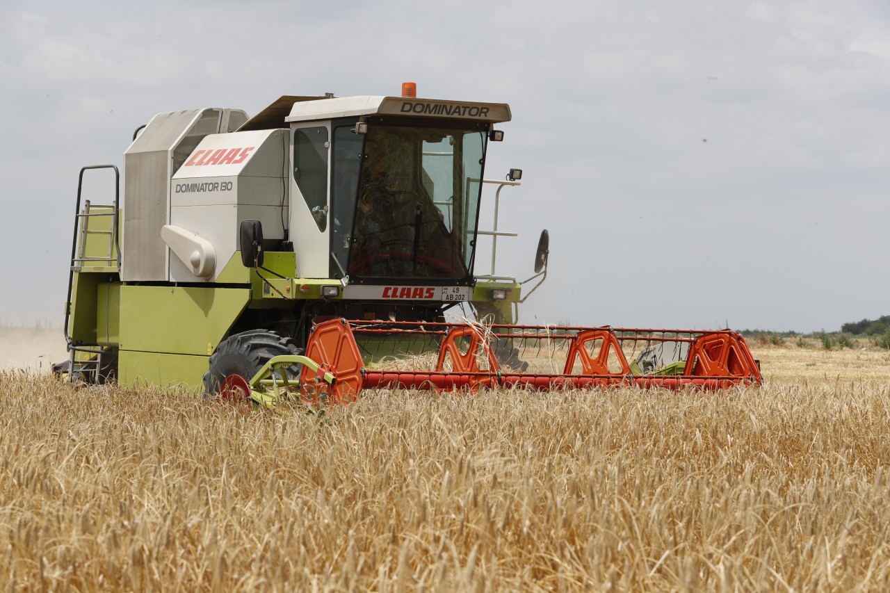 2 milyon tondan çox məhsul yığılıb - Biçin davam edir (FOTOLAR)