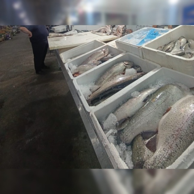 “Keşlə” bazarından balıq alanların nəzərinə - Yararsız məhsullar aşkarlandı (FOTOLAR)
