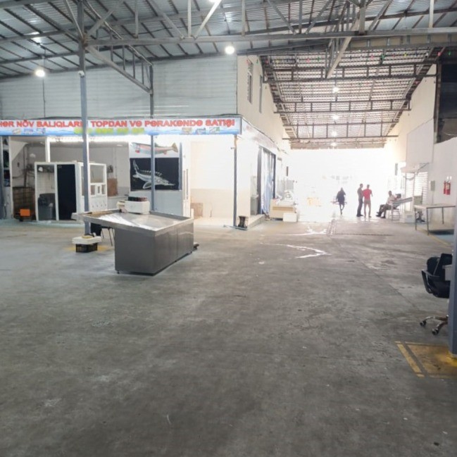 “Keşlə” bazarından balıq alanların nəzərinə - Yararsız məhsullar aşkarlandı (FOTOLAR)