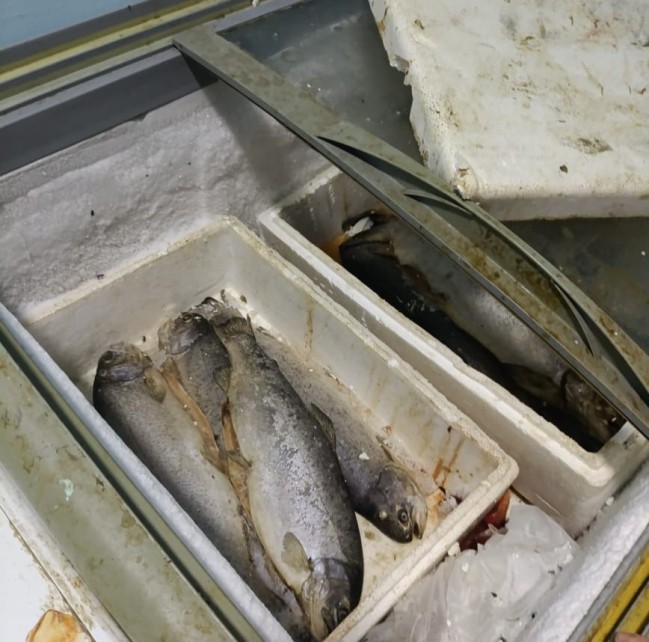 “Keşlə” bazarından balıq alanların nəzərinə - Yararsız məhsullar aşkarlandı (FOTOLAR)