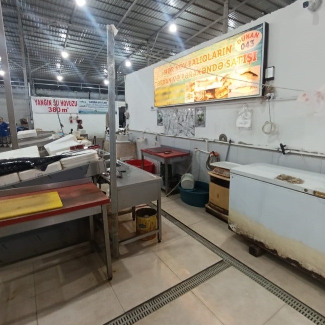 “Keşlə” bazarından balıq alanların nəzərinə - Yararsız məhsullar aşkarlandı (FOTOLAR)