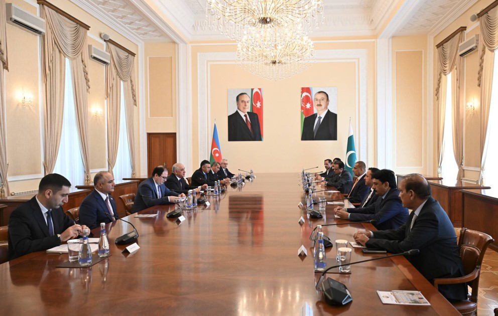 Baş nazir Sərdar Ayaz Sadiqlə görüşdü - FOTO