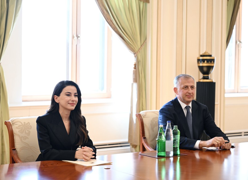 Prezident gürcüstanlı naziri qəbul etdi - FOTOLAR