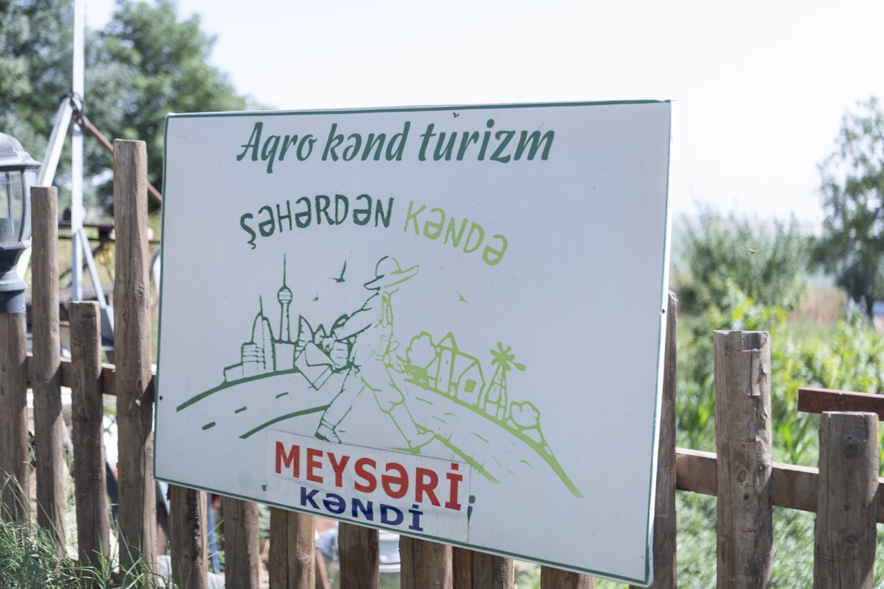 Nazir Şamaxıda şərab istehsalı müəssisələrinin fəaliyyəti ilə tanış olub - FOTOLAR