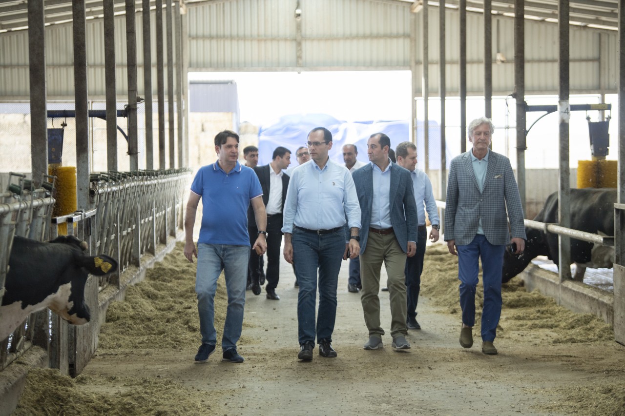 Nazir Şamaxıda şərab istehsalı müəssisələrinin fəaliyyəti ilə tanış olub - FOTOLAR