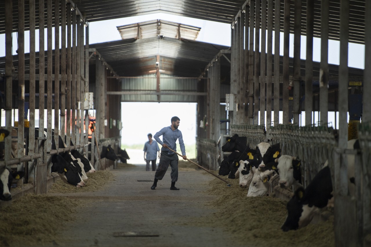 Nazir Şamaxıda şərab istehsalı müəssisələrinin fəaliyyəti ilə tanış olub - FOTOLAR