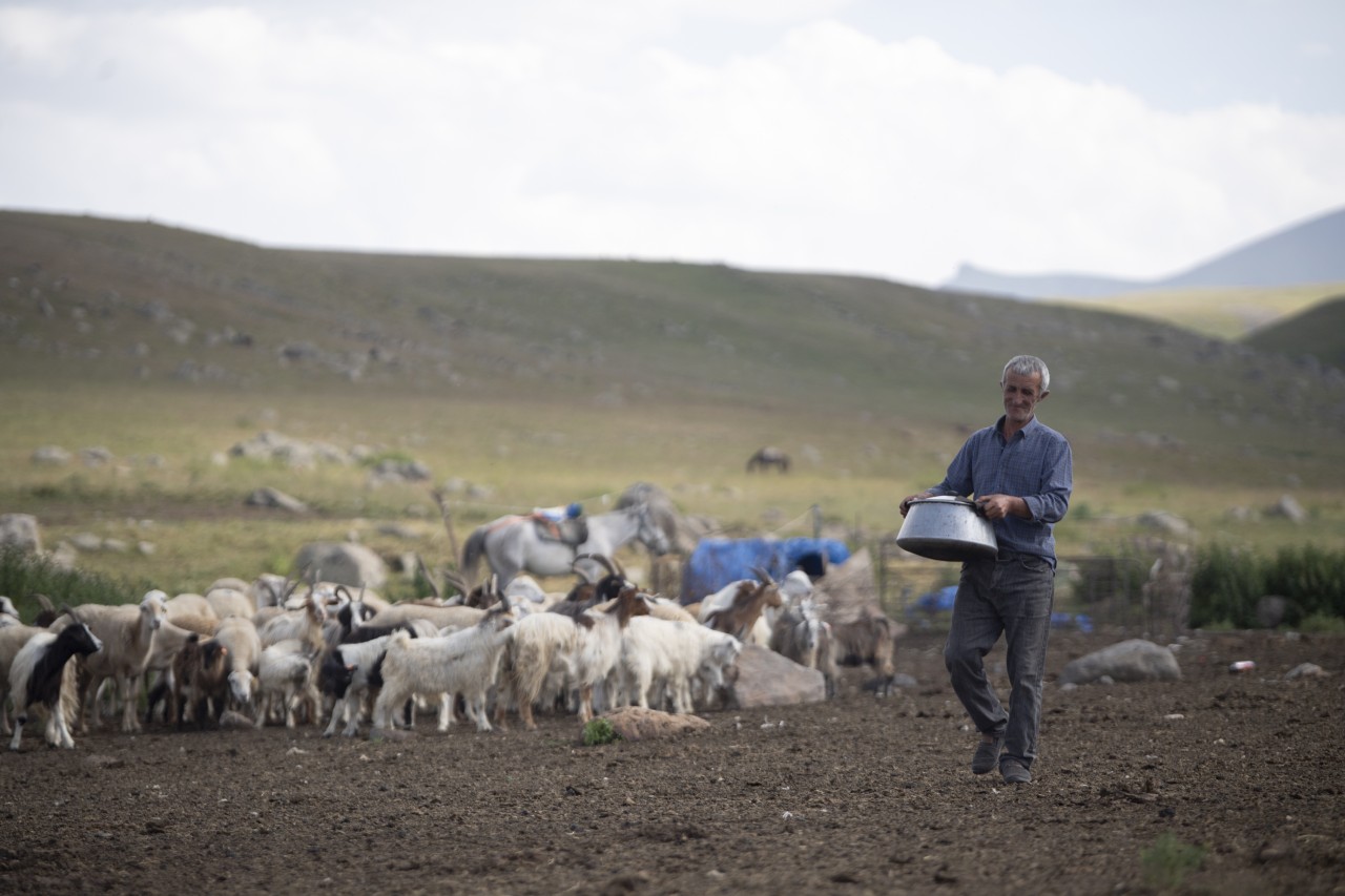 Nazir Kəlbəcərdə təsərrüfatlara baş çəkib, fermerlərlə görüşüb - FOTOLAR