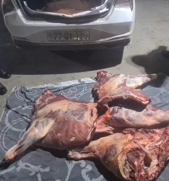 Postda 130 kiloqram yararsız ət aşkarlandı - FOTO