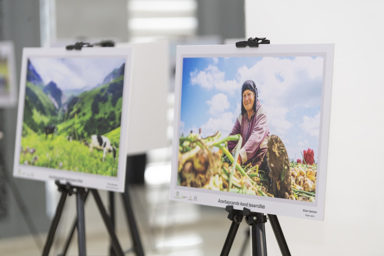 “Azərbaycanda kənd təsərrüfatı” fotomüsabiqəsinin qalibləri elan edilib - FOTOLAR